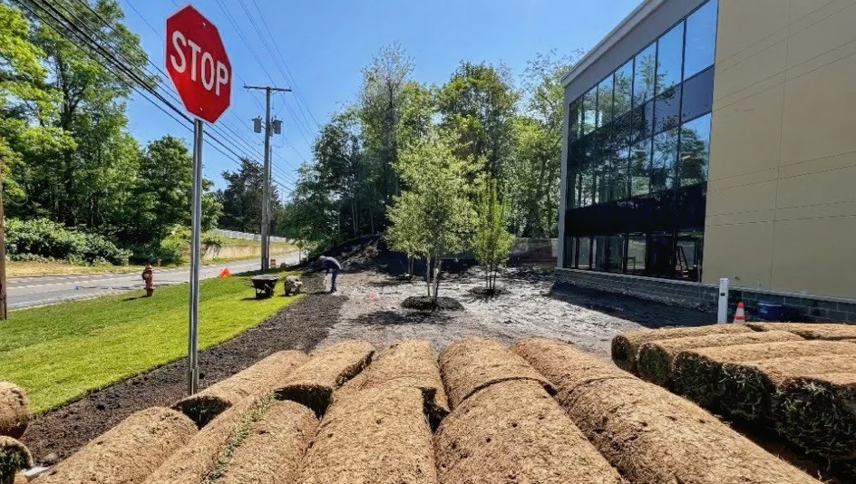 Commercial sod and mulch landscaping installation
